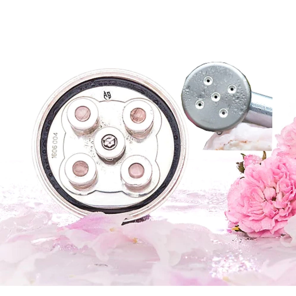 Kleine Rose 5 — chamber detail with silver hallmark and spray plate